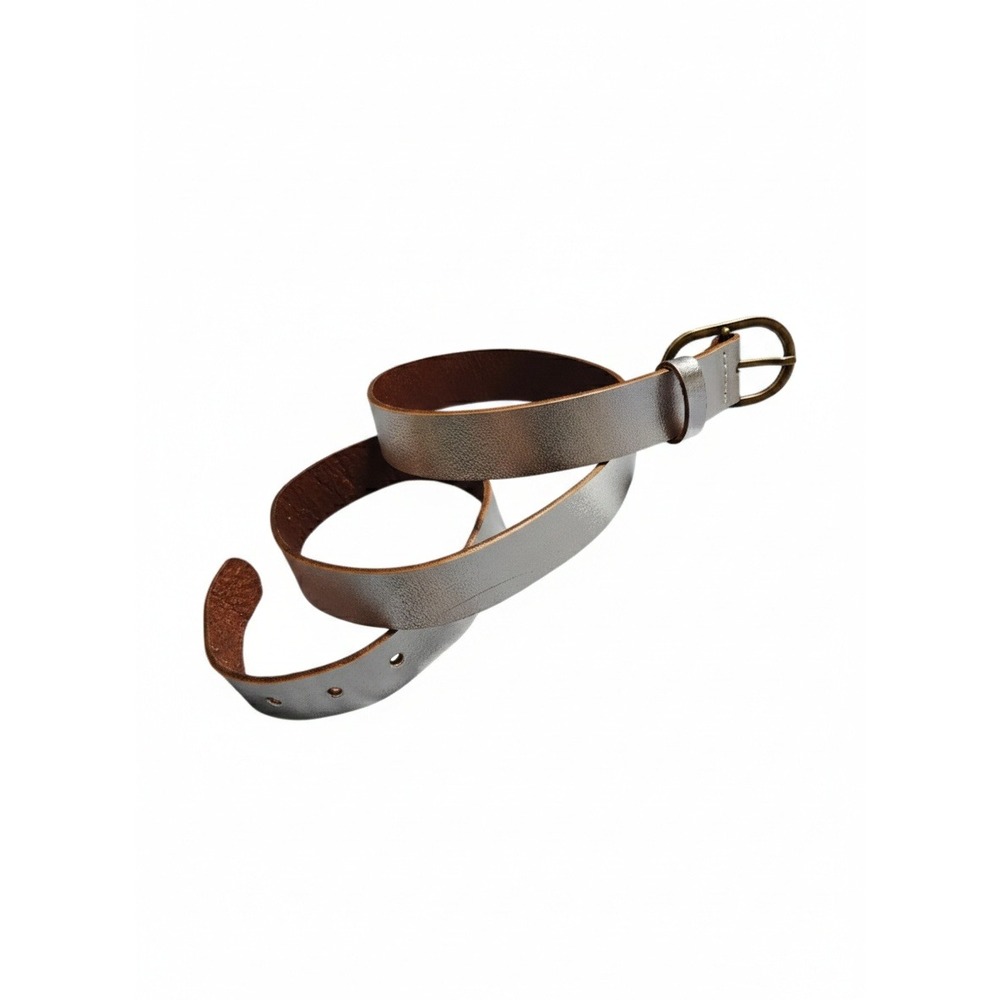 Soft‎ Surroundings Silver Monte Carlo Metallic Classic Belt M(10/12)